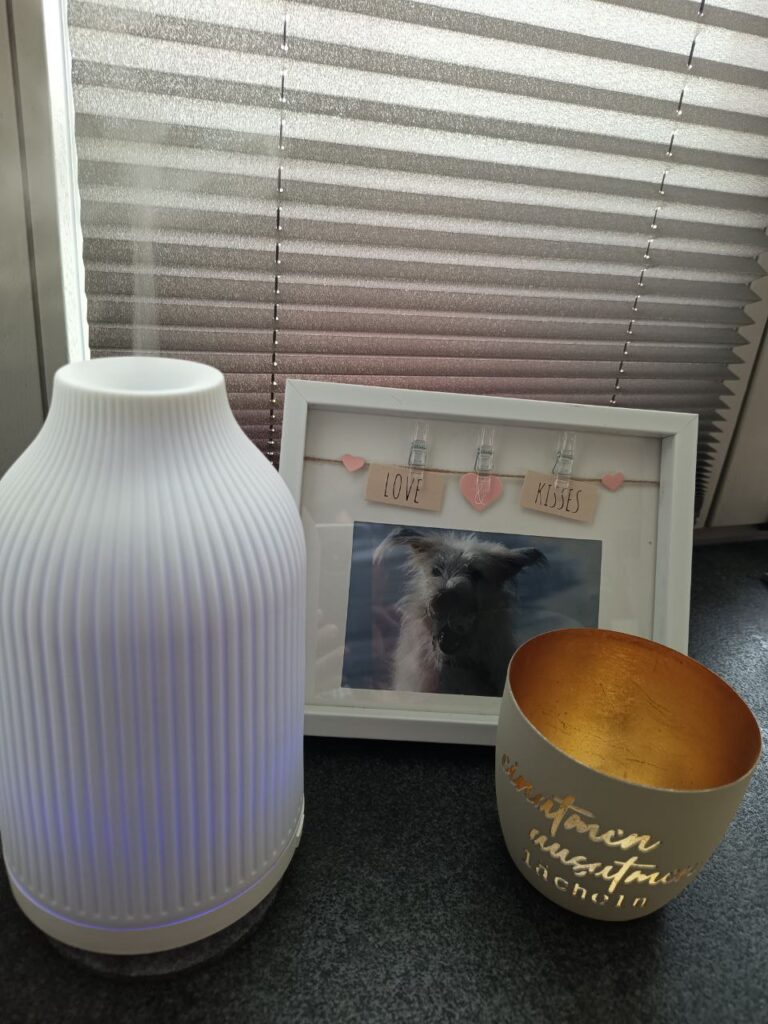 Silvester Angst Hund, Diffuser Ätherische Öle, Energien trennen mit Zypressenöl