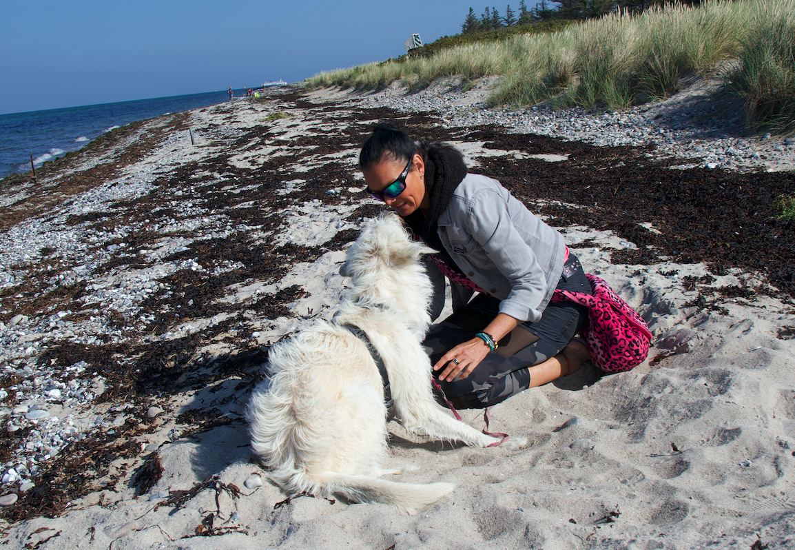 Hund spürt negative Energie, mit ätherischen Ölen in Balance kommen