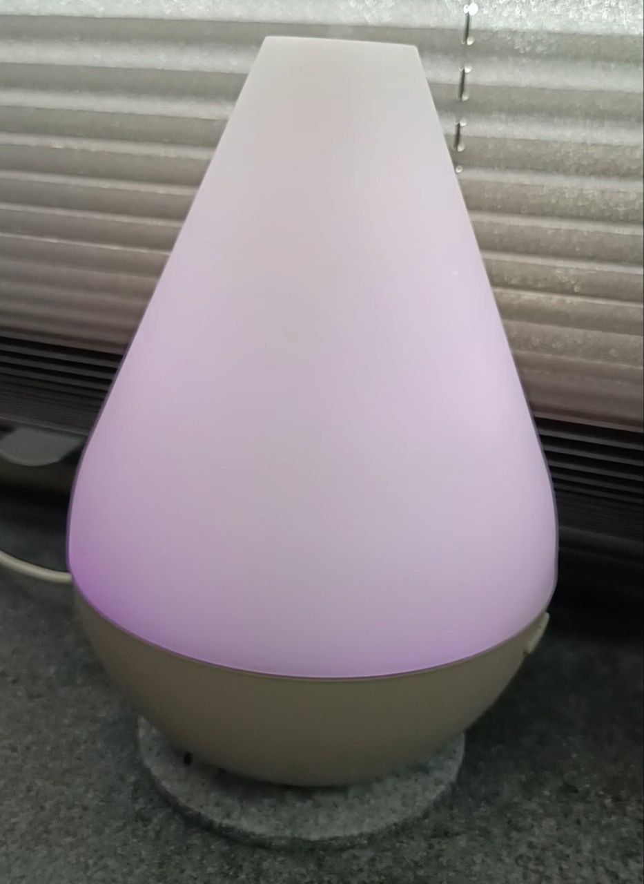 Wellness für Hund, Entpsannung, Mensch-Hund-Momente