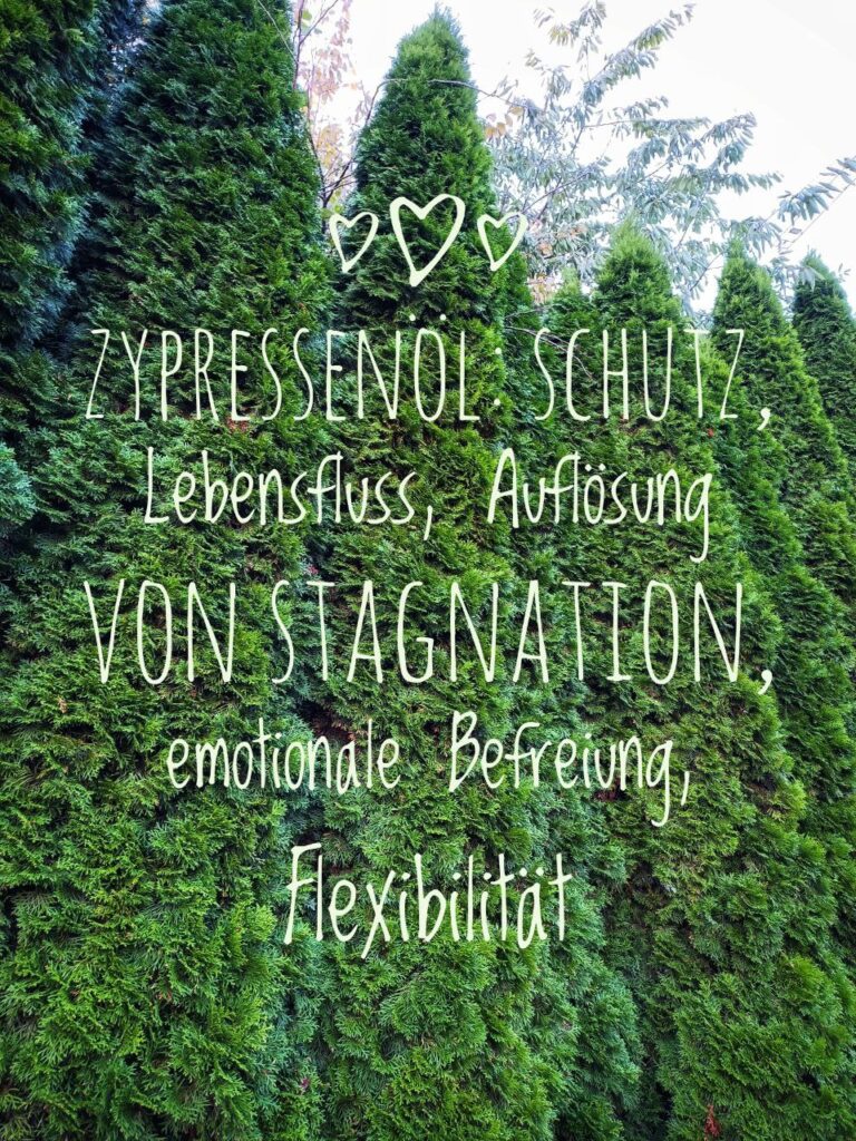 Zypressenöl, Silvester Angst Hund, Diffuser Ätherische Öle, Energien trennen mit Zypressenöl