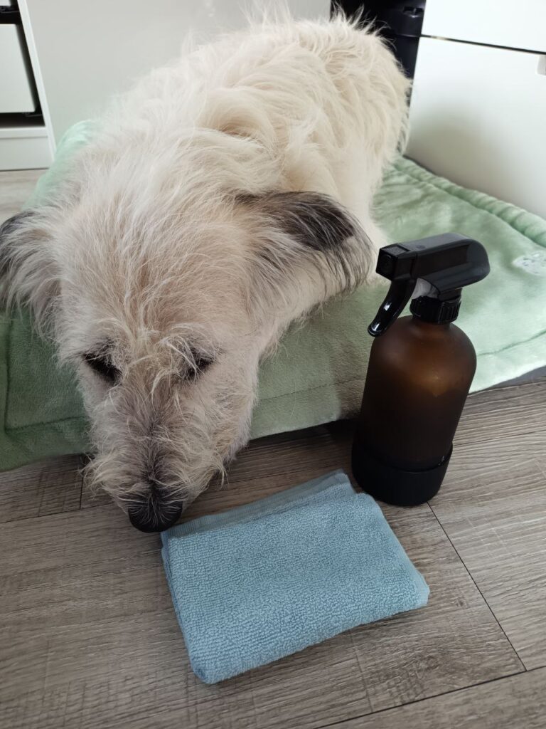 Hunde freundliche Reiniger, Putzen ohne Chemie, haustierfreundlich Putzen, Chemiefreier Haushalt