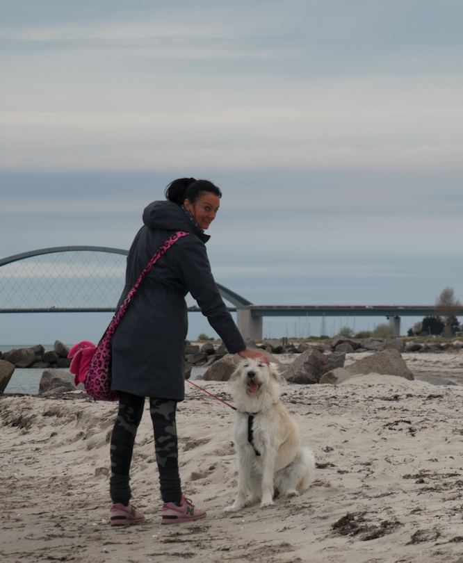 Tierschutz Hund, Entspannung Psyche, ätherische Öle, Angsthund, ängstlichen Hund