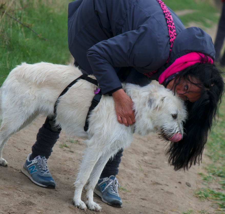 Wellness Massage, Entspannung Vagus Nerv durch ätherische Öle